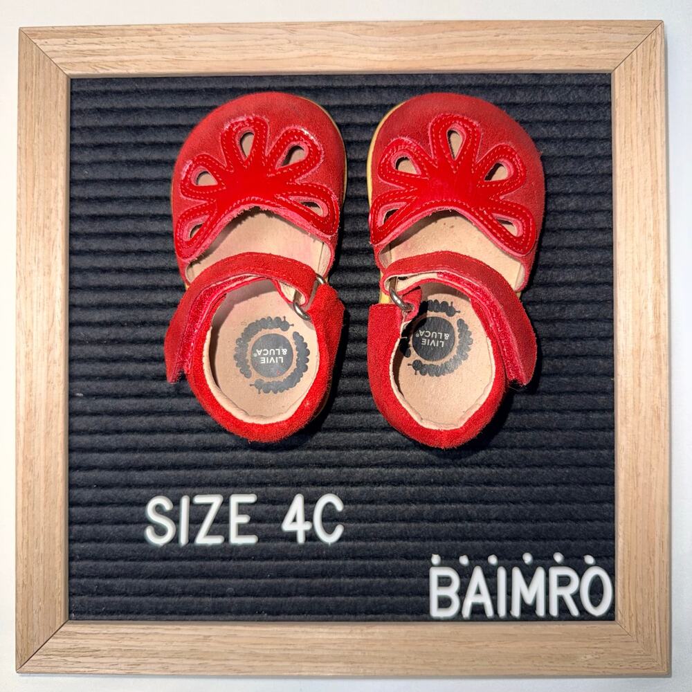 Livie and Luca suede shoes 4C
